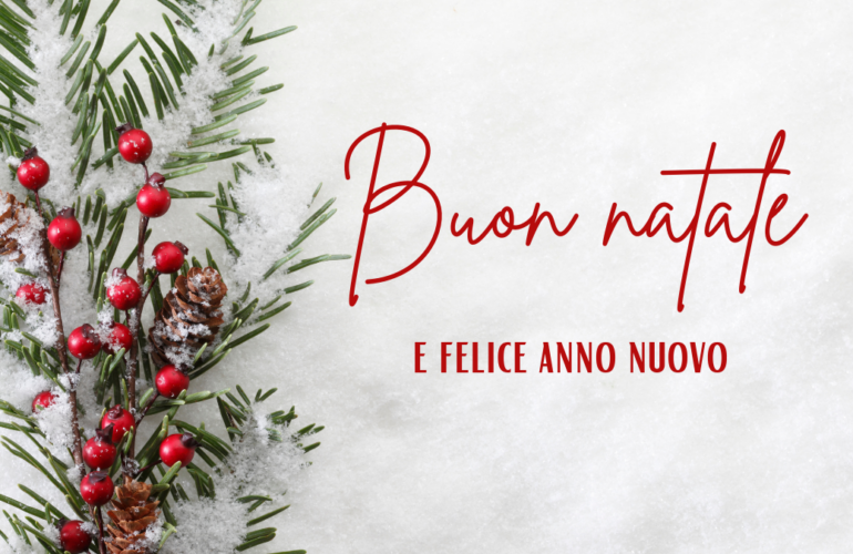 Auguri di buon Natale e felice anno nuovo
