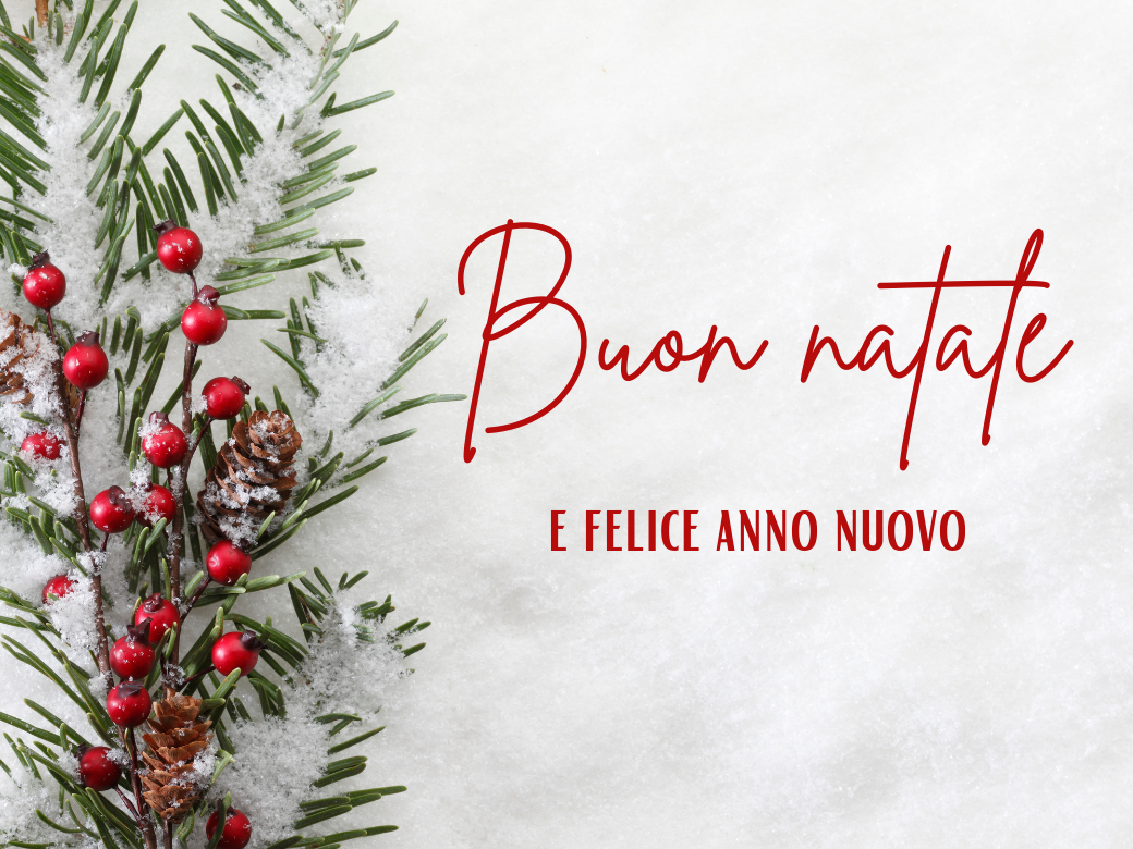 Auguri di buon Natale e felice anno nuovo