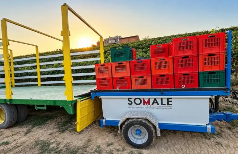 Macchine agricole su misura: quando il lavoro richiede una soluzione specifica
